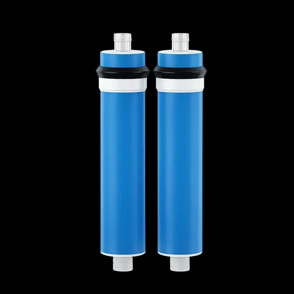 MEMBRANE